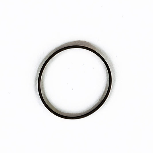 Rocketeer thermostat O-ring